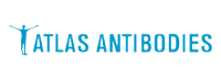 Atlas antibodies一级代理