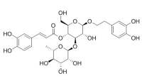 Acteoside 毛蕊花糖苷CAS:61276-17-3