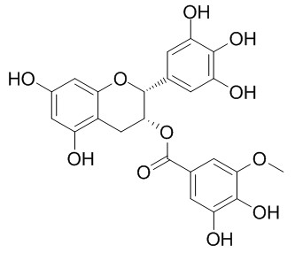 (-)-Epigallocatechin-3-(3''-O-methyl) gallate 表没食子儿茶素3-O-(3''-O-甲基)没食子酸酯  CAS:83104-87-4