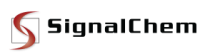 SignalChem区域代理