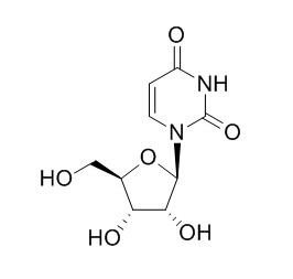 Uridine 尿苷CAS:58-96-8