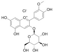 Peonidin-3-O-glucoside chloride 氯化芍药素-3-O-葡萄糖苷 CAS:6906-39-4