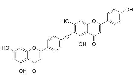 Hinokiflavone 日本扁柏黄酮 CAS:19202-36-9