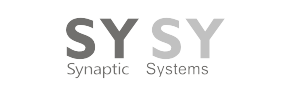 Synaptic Systems一级代理