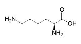 L-lysine L-赖氨酸 CAS:56-87-1