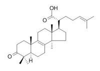 Beta-Elemonic acid 榄香酮酸 CAS:28282-25-9
