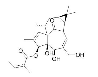 Ingenol 3-Angelate 巨大戟醇-3-当归酸酯 CAS:75567-37-2