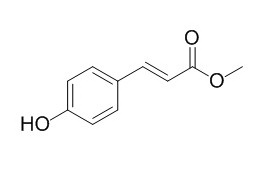 Methyl 4-hydroxycinnamate 反-对香豆酸甲酯,CAS:19367-38-5