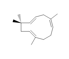 Alpha-caryophyllene α-石竹烯CAS：6753-98-6