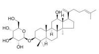Ginsenoside Rk2 人参皂苷Rk2 CAS:364779-14-6