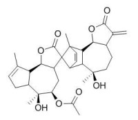 Handelin 野菊花内酯 CAS:62687-22-3