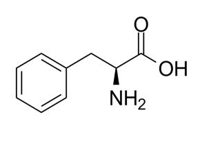 L-Phenylalanine L-苯丙氨酸 CAS:63-91-2