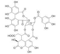 Chebulagic acid 坷子苯酸CAS：23094-71-5