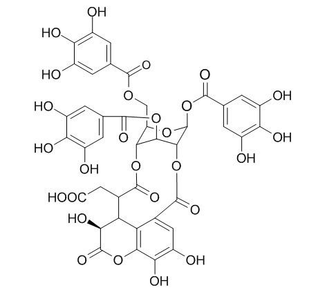 Chebulinic acid 诃子酸CAS：18942-26-2