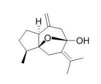 Isocurcumenol 异莪术烯醇 CAS:24063-71-6