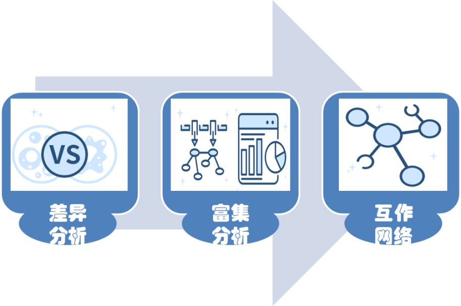 吉凯基因分析平台Gene Matrix