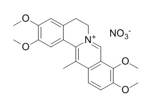 Dehydrocorydaline nitrate 去氢延胡索甲素硝酸盐 CAS:13005-09-9