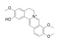 Columbamine 非洲防己碱 CAS:3621-36-1