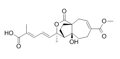 Pseudolaric Acid C 土荆皮丙SUAN CAS:82601-41-0