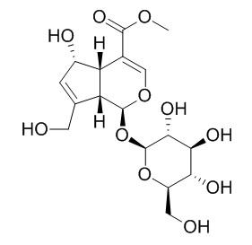 Deacetylasperulosidic acid methyl ester 去乙酰车叶草苷酸甲酯CAS：52613-28-2