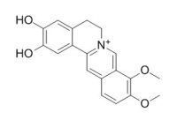Demethyleneberberine 去亚甲基小檗碱 CAS:25459-91-0