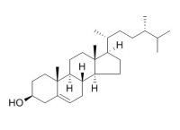 Campesterol 菜油甾醇 CAS:474-62-4