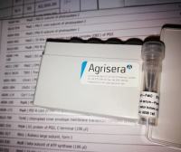 耶尔森菌CpxA蛋白多克隆抗体