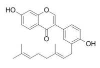 Corylifol A CAS:775351-88-7