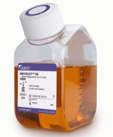 KnockOut™ Serum Replacement ,10828010,10828028