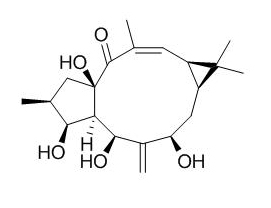 7-beta-Hydroxylathyrol 7-羟基千金子二帖醇 CAS:34208-98-5