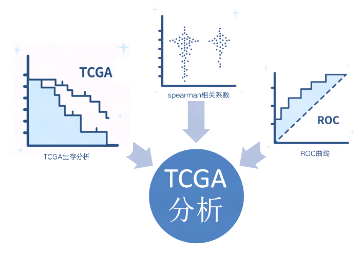 吉凯基因分析平台Gene Matrix