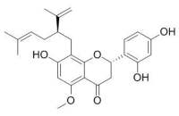 Kurarinone 苦参酮 CAS:34981-26-5