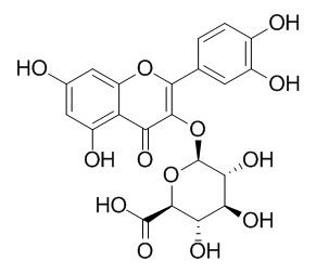 Quercetin-3-O-glucuronide 槲皮素-3-葡萄糖醛酸苷CAS:22688-79-5