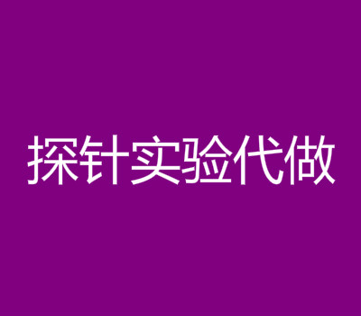 探针实验代做报价