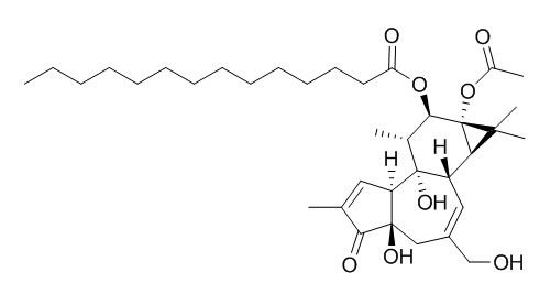 12-O-tetradecanoylphorbol-13-acetate 12-O-十四烷酰佛波醋酸酯-13 CAS:16561-29-8