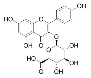 Kaempferol-3-beta-O-glucuronide SHAN奈酚葡萄糖醛酸苷 CAS:22688-78-4