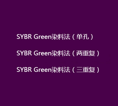 SYBR Green染料法（单孔、两重复、三重复）