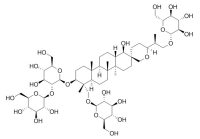 Hosenkoside K 凤仙萜四醇苷K CAS:160896-49-1