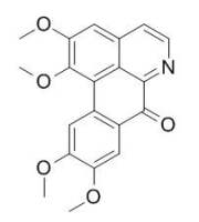 Oxoglaucine 氧代海罂粟石咸 CAS:5574-24-3