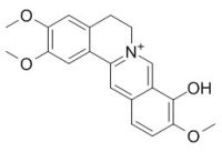 Palmatrubine 巴马亭红碱 CAS:16176-68-4