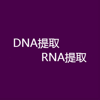 DNA提取RNA提取浓度测定