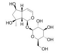 Ajugol 益母草苷 CAS:52949-83-4