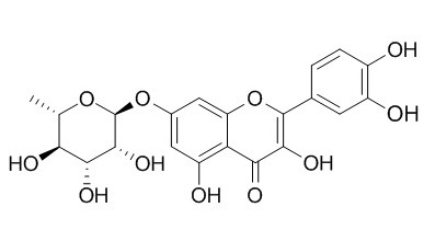 Vincetoxicoside B 槲皮素-7-O-鼠李糖苷 CAS:22007-72-3