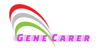 GeneCarer 2×Taq Advanced PCR Master Mix