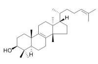 Euphol 大戟二烯醇 CAS:514-47-6