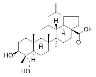 Anemosapogenin 23-羟基白桦酸 CAS:85999-40-2