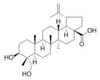 Anemosapogenin 23-羟基白桦酸 CAS:85999-40-2