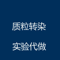 质粒转染