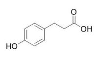 Phloretic acid 对羟基苯酸 CAS:501-97-3