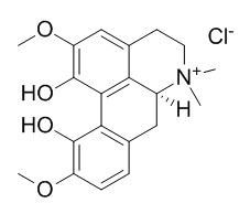 Magnoflorine chloride 氯化木兰花碱 CAS:6681-18-1